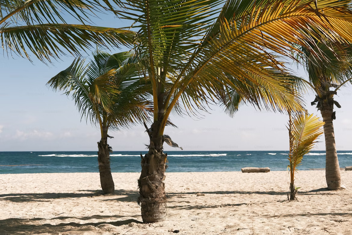 Best hotels in Kenya for couples - Diani Beach
